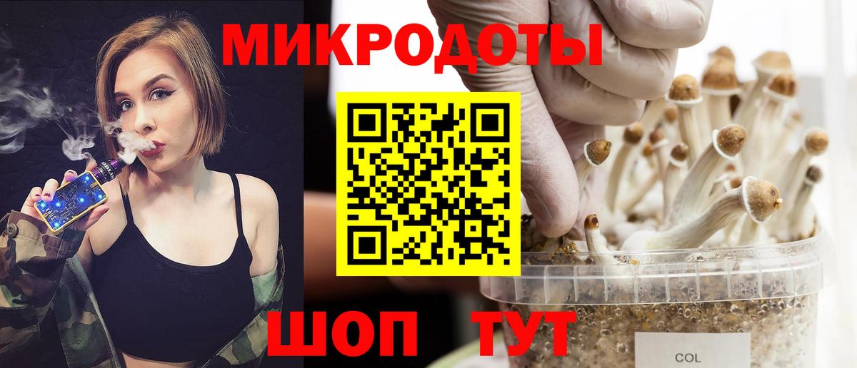 Галлюциногенные грибы прущие грибы  Вход с VPN  сколько стоит  Серов  Галлюциногенные грибы прущие грибы 